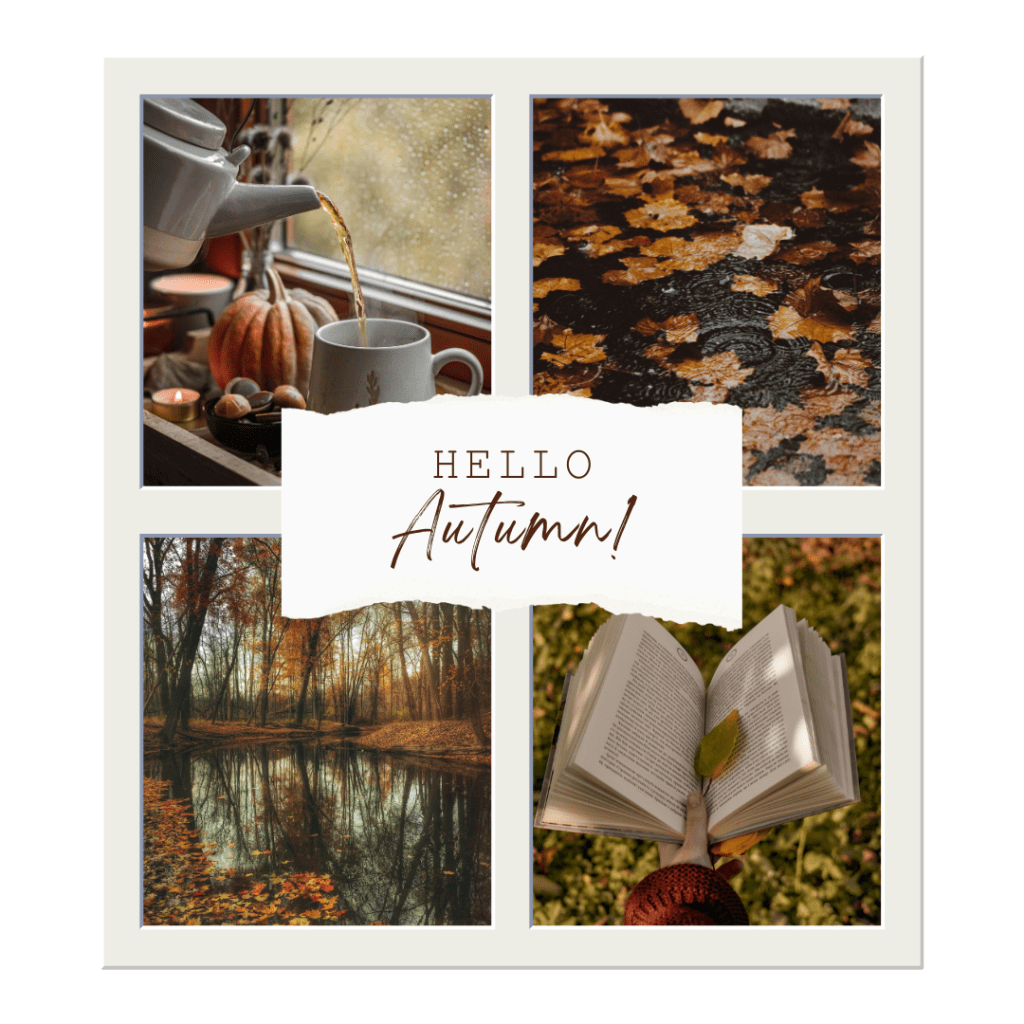 Fall is Here: 10 Cozy Things You Have to Do This Autumn&nbsp;🍂